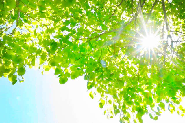 気温が上がってるく春のスキンケア