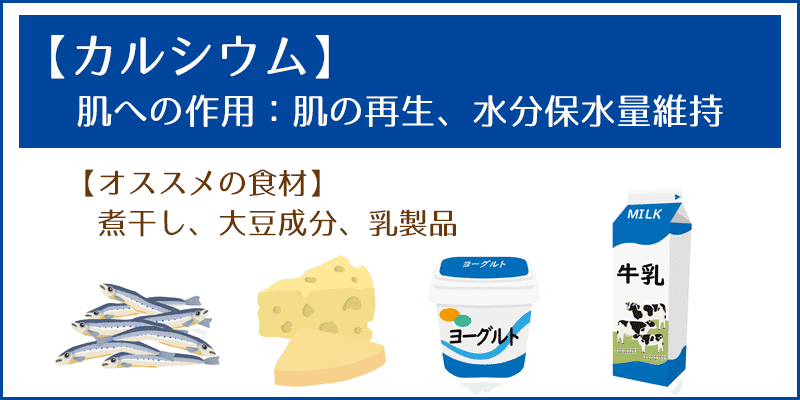 【カルシウム】肌への作用：肌の再生、水分保水量維持 --オススメの食材 煮干し、大豆成分、乳製品 【鉄】肌への作用：血行促進、コラーゲン生成