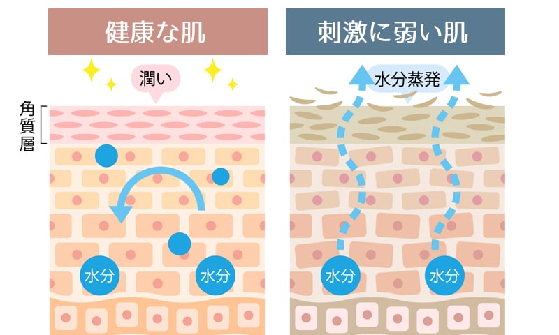 肌の中から外へと水分が蒸発してしまうと表面の角質がどんどんめくれ上がります