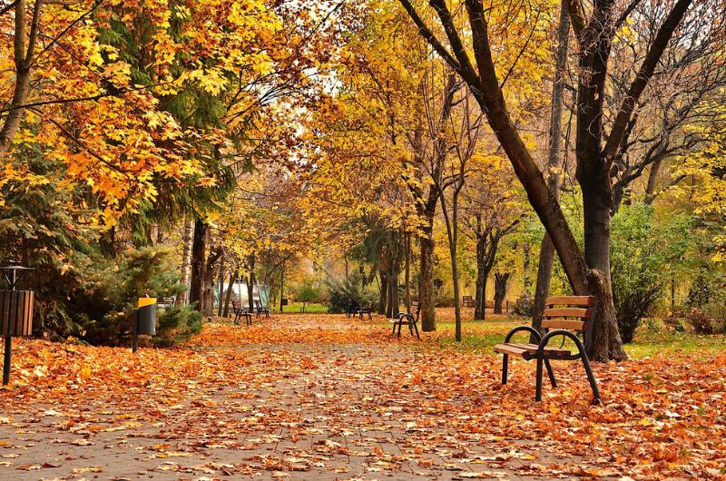 なぜ冬に毛穴が目立つのか?“