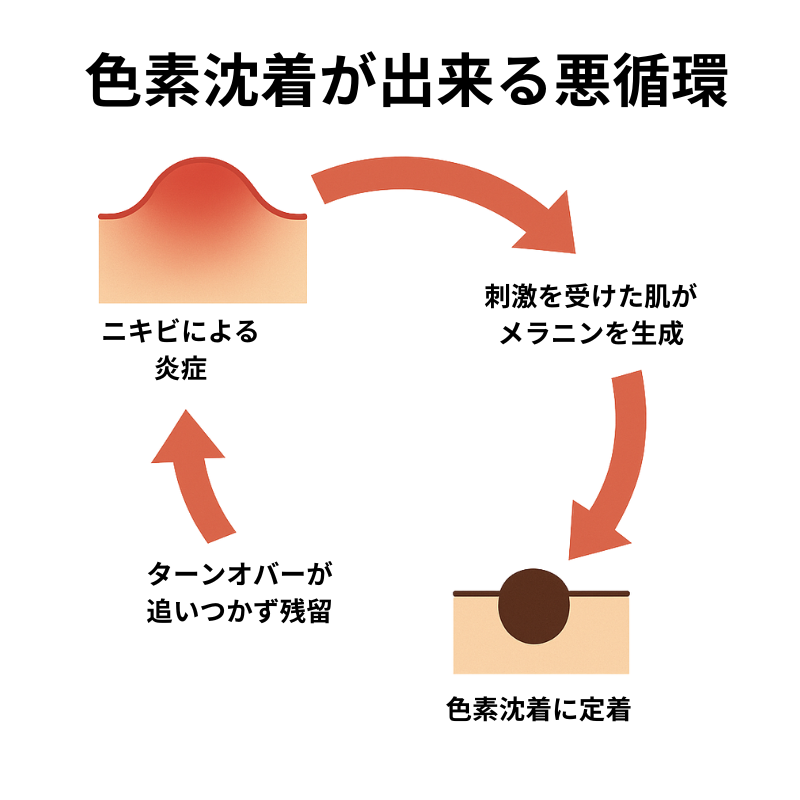 炎症の代償としてのメラニン