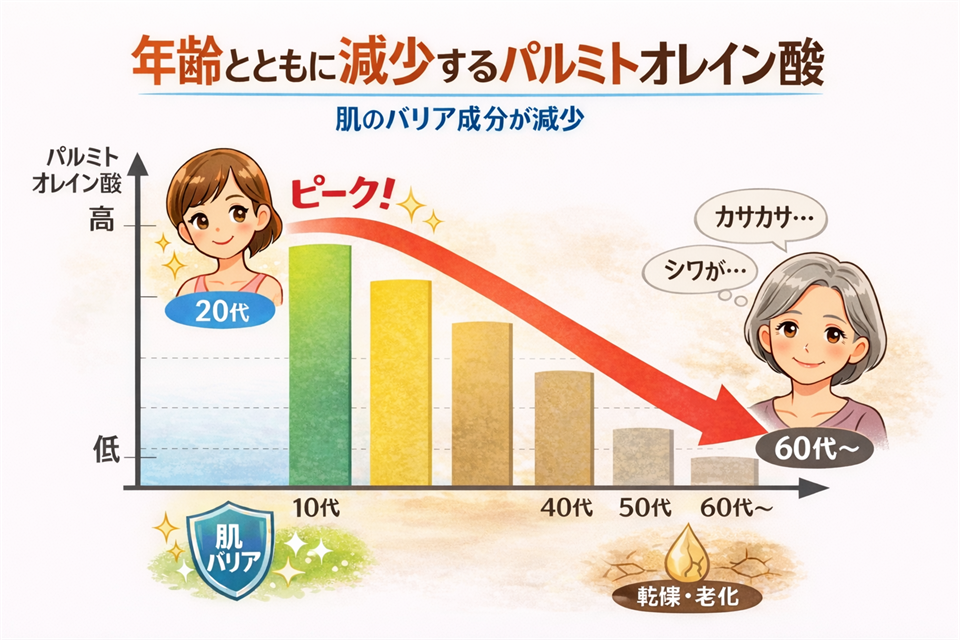 パルミトオレイン酸は20代をピークに減少