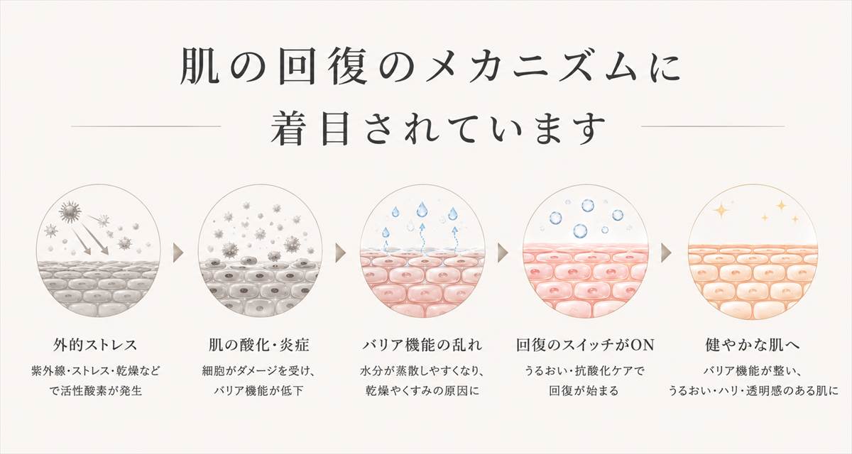 世界の美容は「回復力」に注目