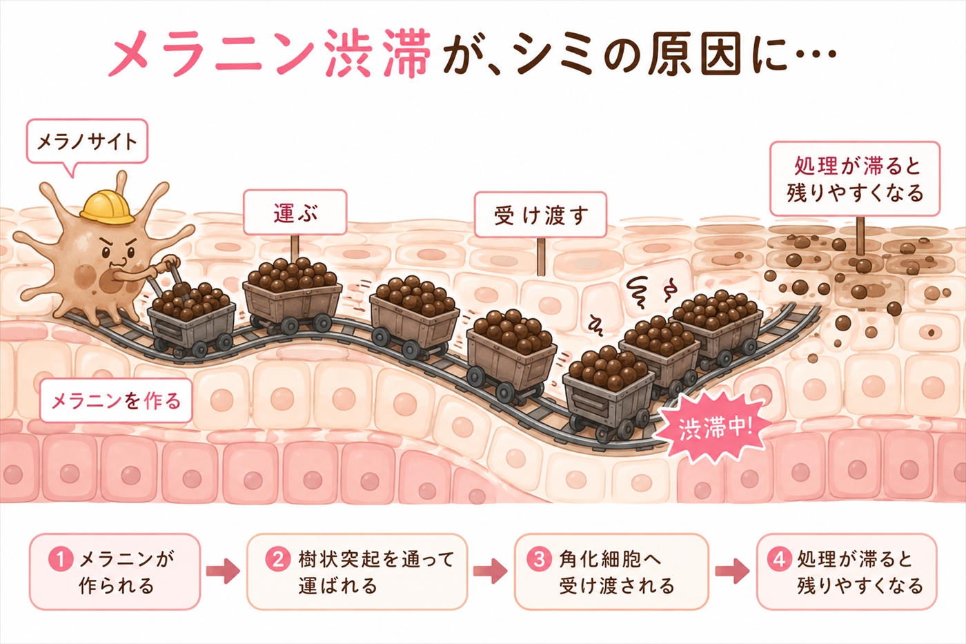 メラニン渋滞がしみの原因に