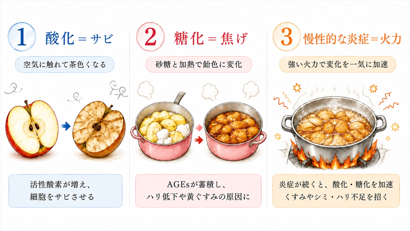 お肌の酸化、糖化、炎症の違い