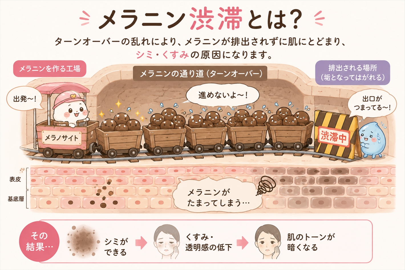 これが「メラニン渋滞」の正体でした。
