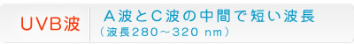 UVB波 A波とC波の中間で短い波長（波長280～280mm）