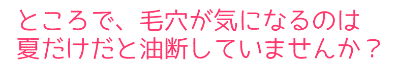 ところで、毛穴が気になるのは夏だけだと油断していませんか？