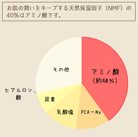 お肌の潤いをキープする天然保湿因子（NMF）の40％はアミノ酸です。アミノ酸（約40％）PCA-Na 乳酸塩 尿素 ヒアルロン酸 その他