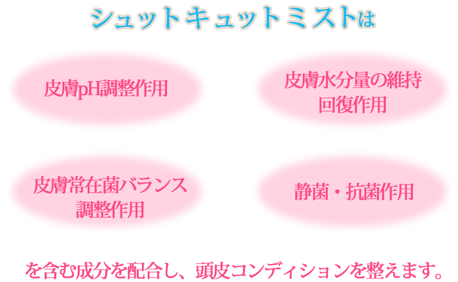 シュットキュットミストは皮膚pH調整作用・皮膚水分量の維持回復作用・皮膚常在菌バランス調整作用・静菌・抗菌作用を含む成分を配合し、頭皮コンディションを整えます。