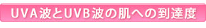 UVA波とUVB波が肌に与える影響