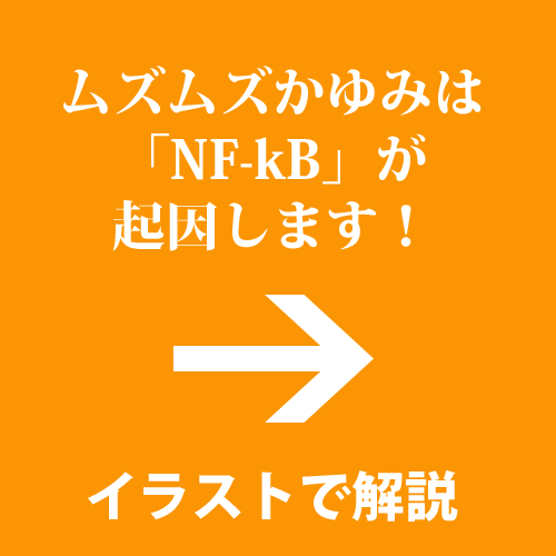 a_NFkB000