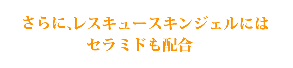 さらに、セラミドも配合