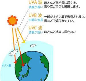 紫外線の種類