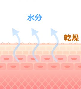 毛穴が閉じなくなったのは水分不足のせい
