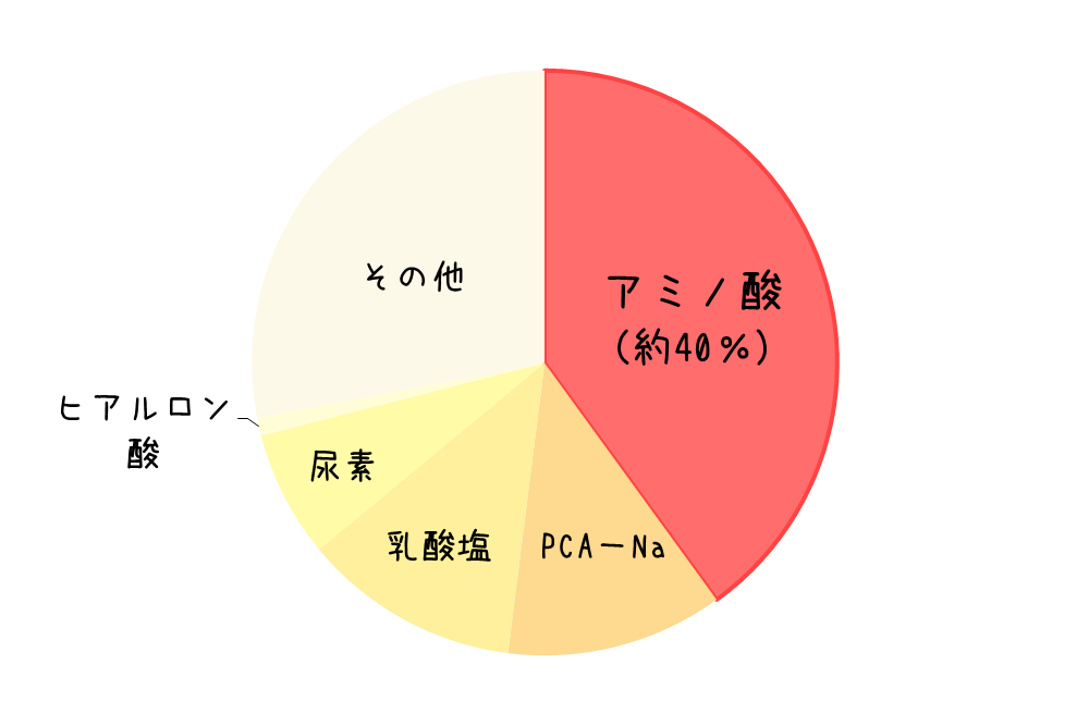 美容液のアミノ酸の割合