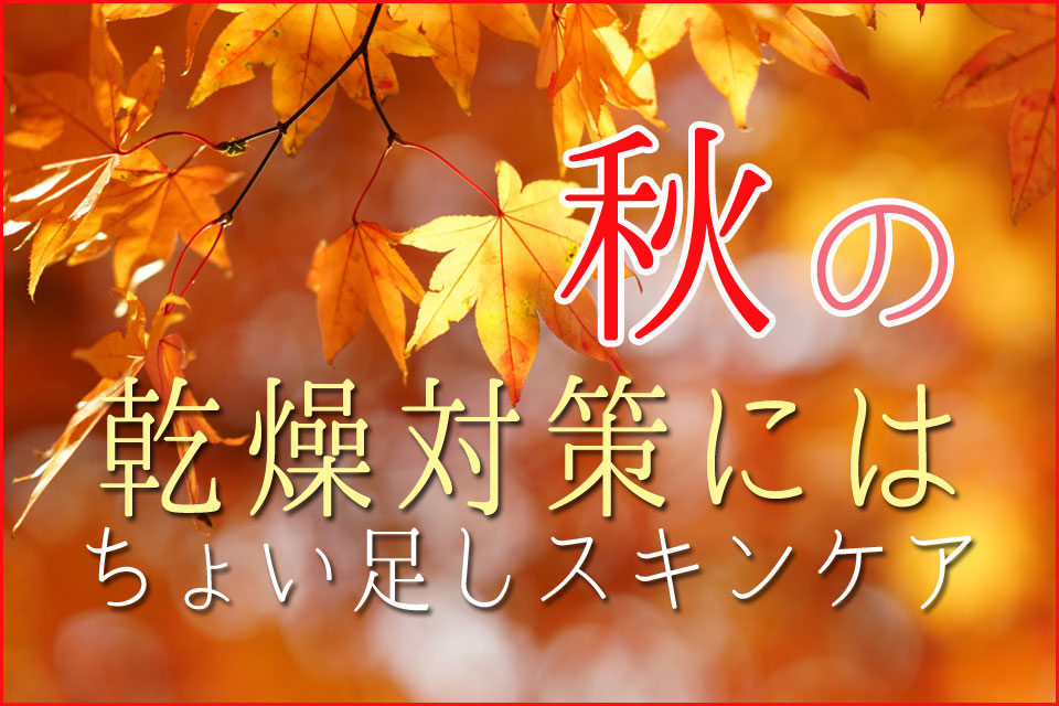 秋のスキンケア